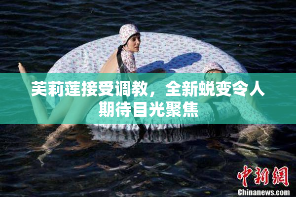 芙莉莲接受调教，全新蜕变令人期待目光聚焦
