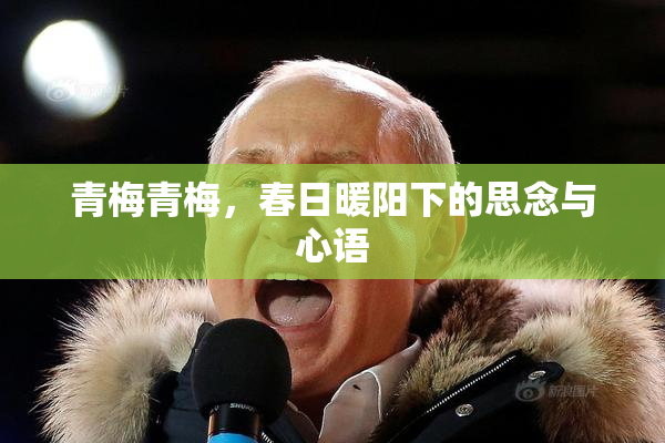 青梅青梅，春日暖阳下的思念与心语