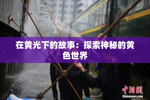 在黄光下的故事：探索神秘的黄色世界