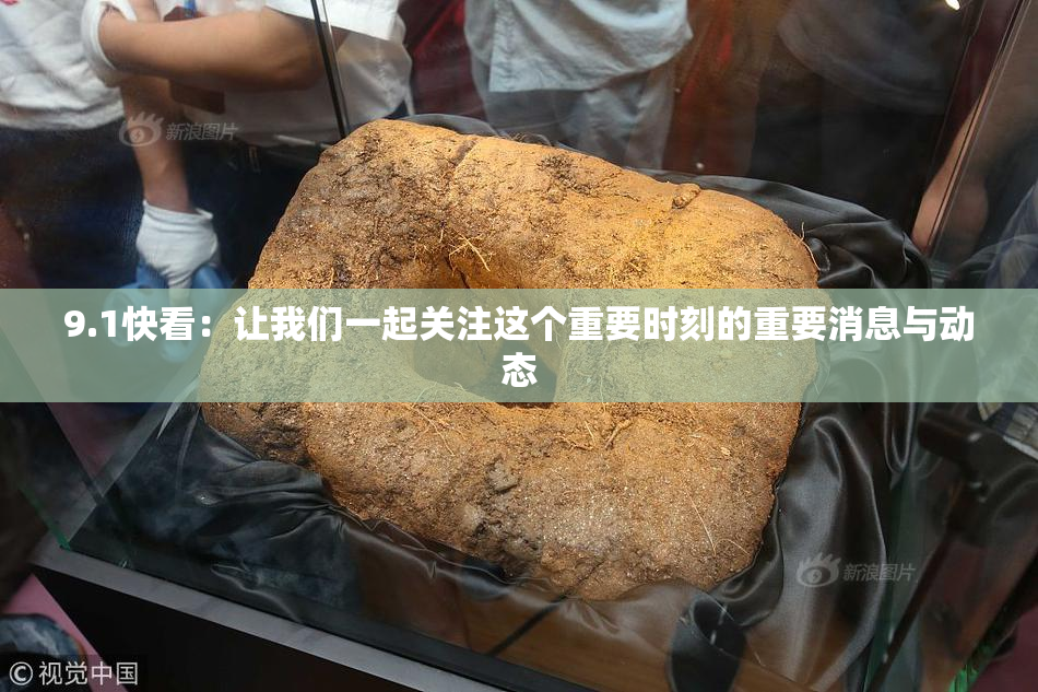 9.1快看：让我们一起关注这个重要时刻的重要消息与动态