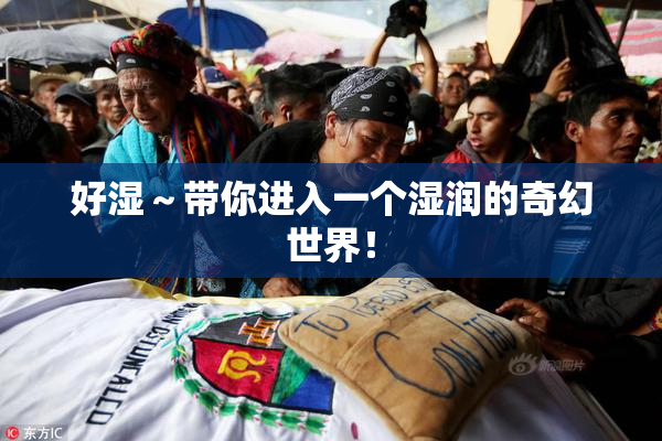 好湿～带你进入一个湿润的奇幻世界！