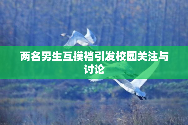 两名男生互摸裆引发校园关注与讨论