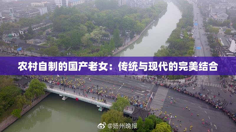 农村自制的国产老女：传统与现代的完美结合