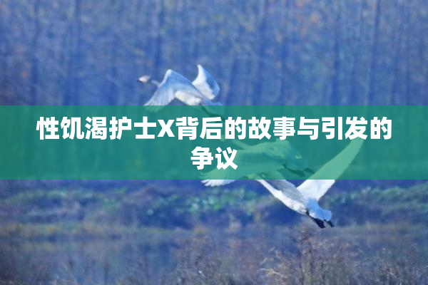 性饥渴护士X背后的故事与引发的争议