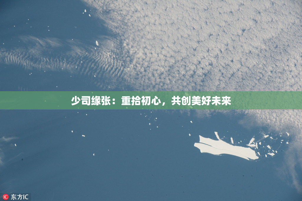 少司缘张：重拾初心，共创美好未来