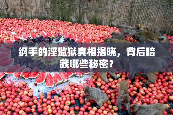 纲手的淫监狱真相揭晓，背后暗藏哪些秘密？