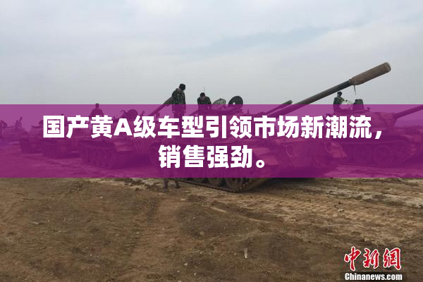 国产黄A级车型引领市场新潮流，销售强劲。