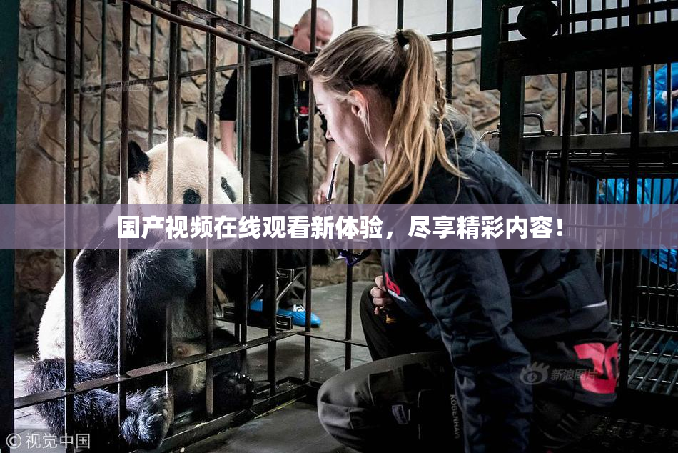 国产视频在线观看新体验，尽享精彩内容！