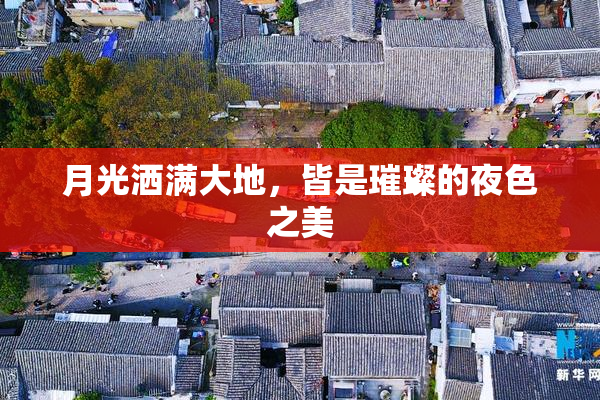 月光洒满大地，皆是璀璨的夜色之美