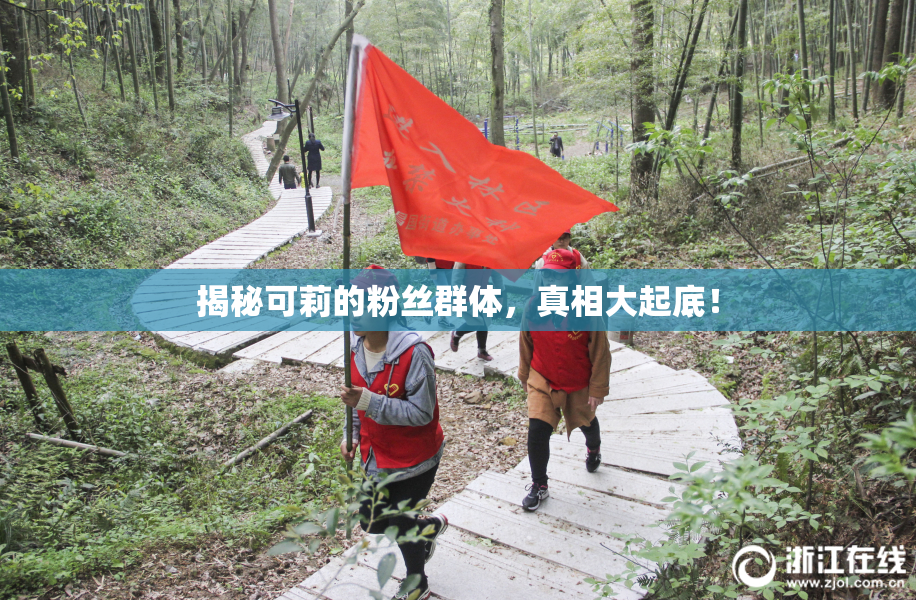 揭秘可莉的粉丝群体，真相大起底！