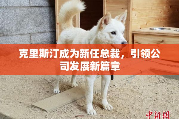 克里斯汀成为新任总裁，引领公司发展新篇章