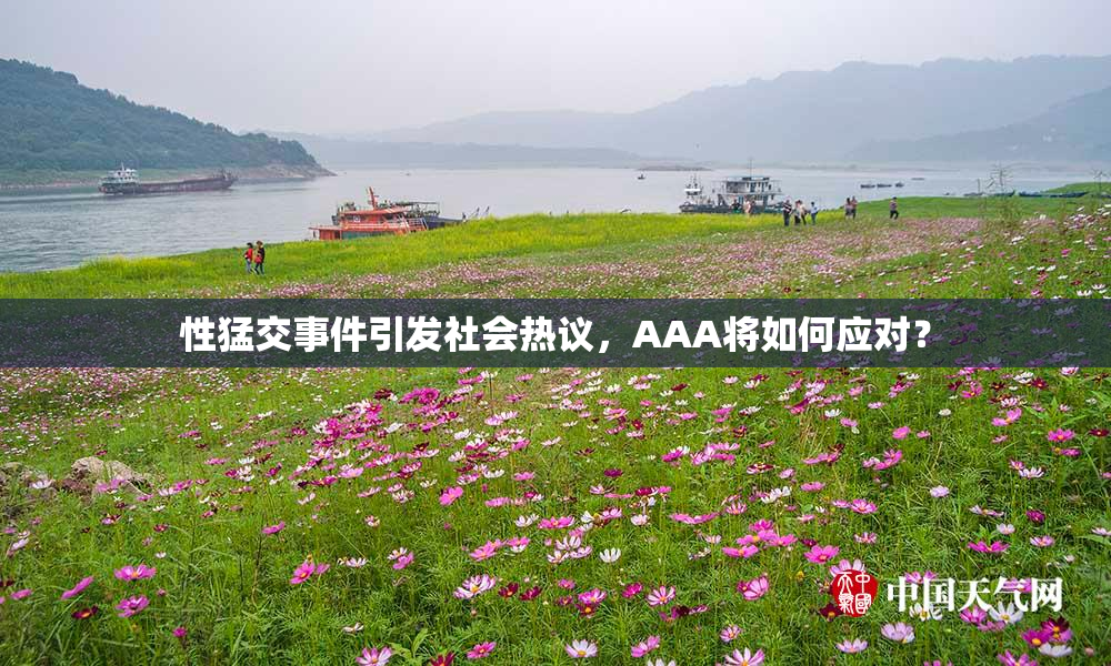 性猛交事件引发社会热议，AAA将如何应对？