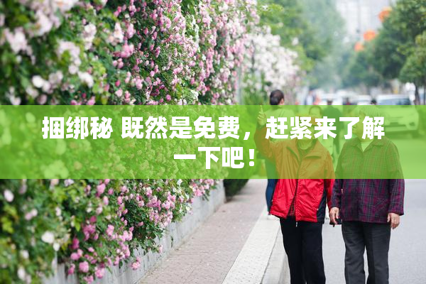 捆绑秘 既然是免费，赶紧来了解一下吧！
