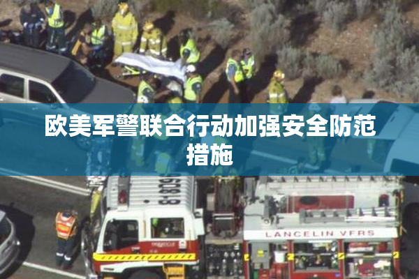 欧美军警联合行动加强安全防范措施