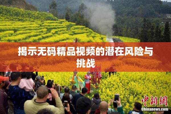 揭示无码精品视频的潜在风险与挑战