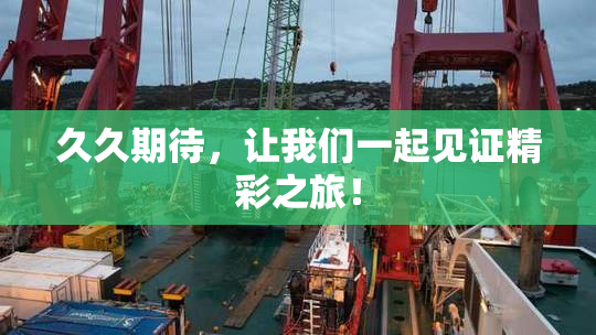 久久期待，让我们一起见证精彩之旅！