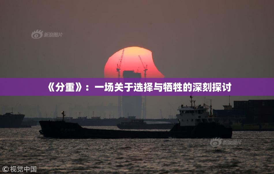 《分重》：一场关于选择与牺牲的深刻探讨