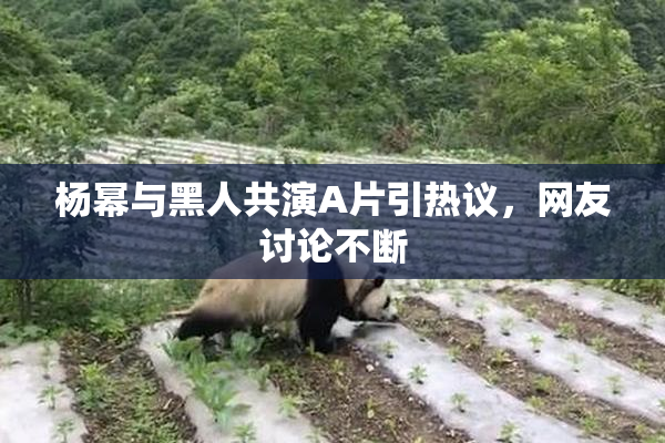 杨幂与黑人共演A片引热议，网友讨论不断