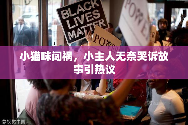 小猫咪闯祸，小主人无奈哭诉故事引热议