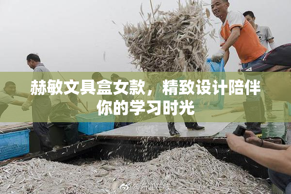 赫敏文具盒女款，精致设计陪伴你的学习时光