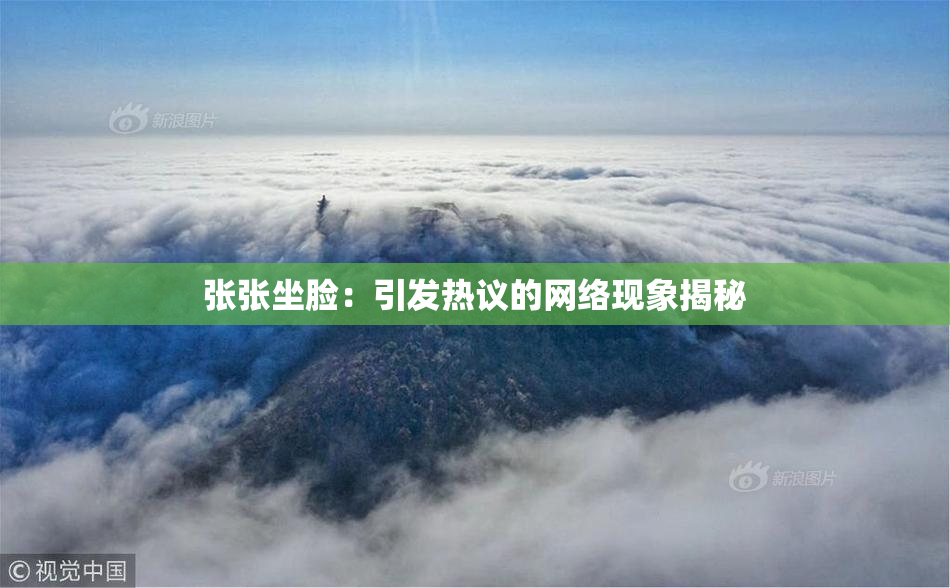 张张坐脸：引发热议的网络现象揭秘