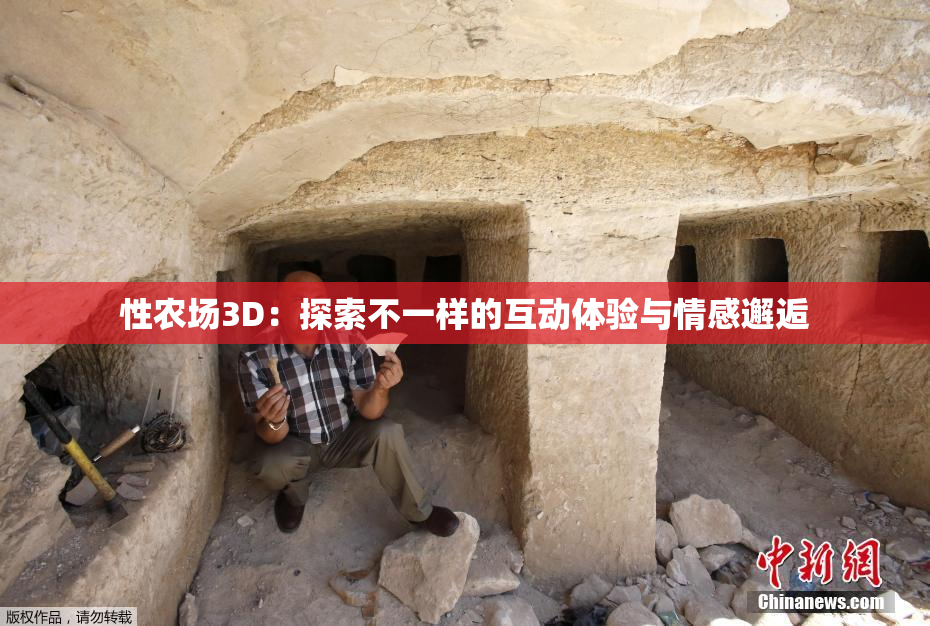 性农场3D：探索不一样的互动体验与情感邂逅