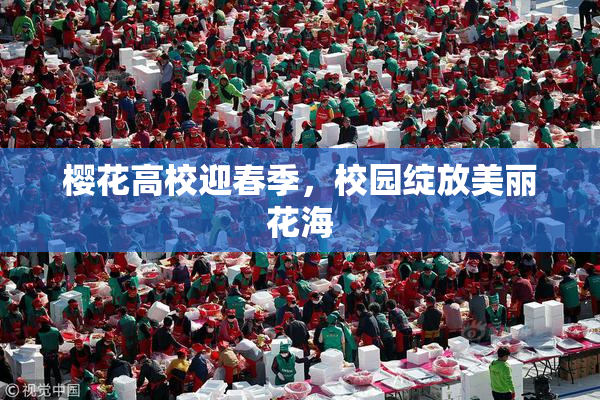樱花高校迎春季，校园绽放美丽花海