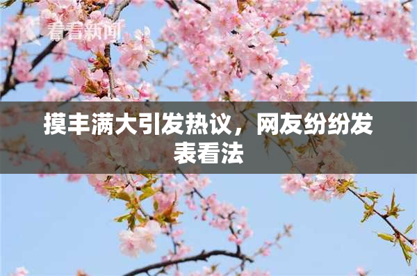 摸丰满大引发热议，网友纷纷发表看法