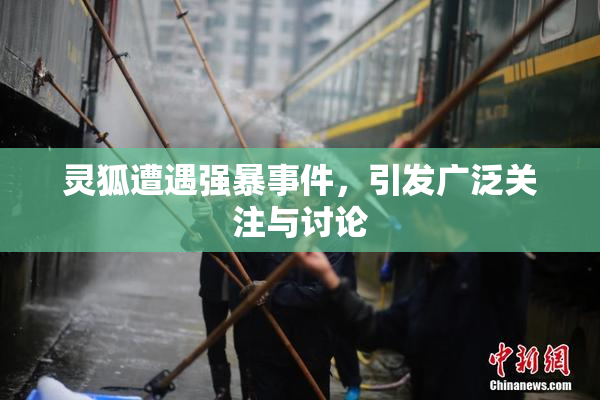 灵狐遭遇强暴事件，引发广泛关注与讨论