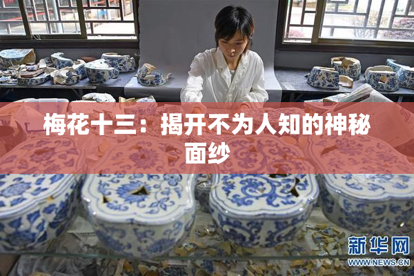 梅花十三：揭开不为人知的神秘面纱