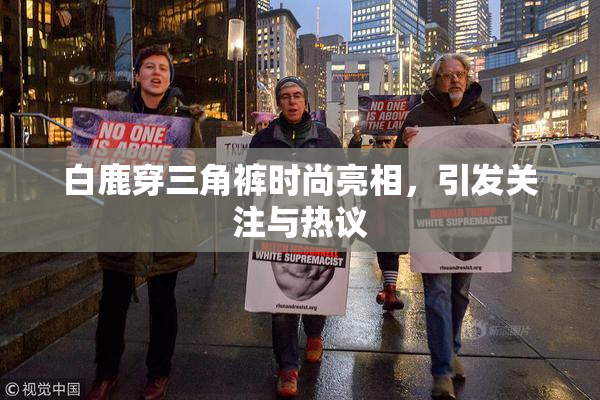 白鹿穿三角裤时尚亮相，引发关注与热议