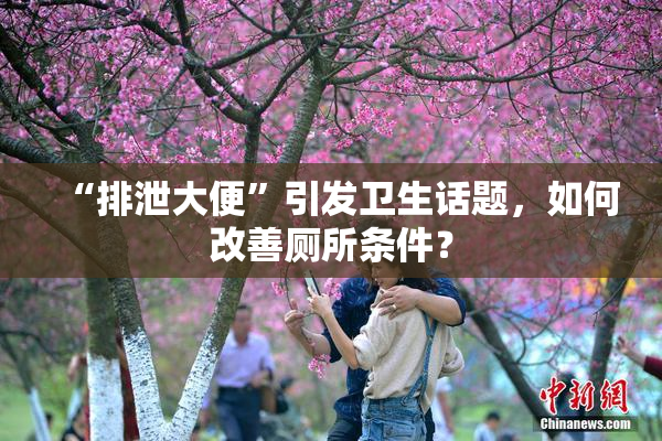 “排泄大便”引发卫生话题，如何改善厕所条件？