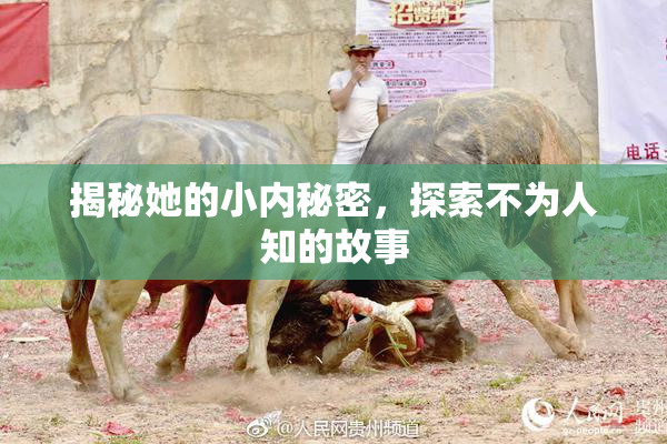 揭秘她的小内秘密，探索不为人知的故事