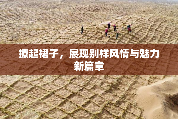 撩起裙子，展现别样风情与魅力新篇章