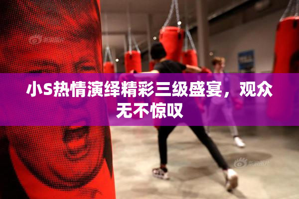 小S热情演绎精彩三级盛宴，观众无不惊叹