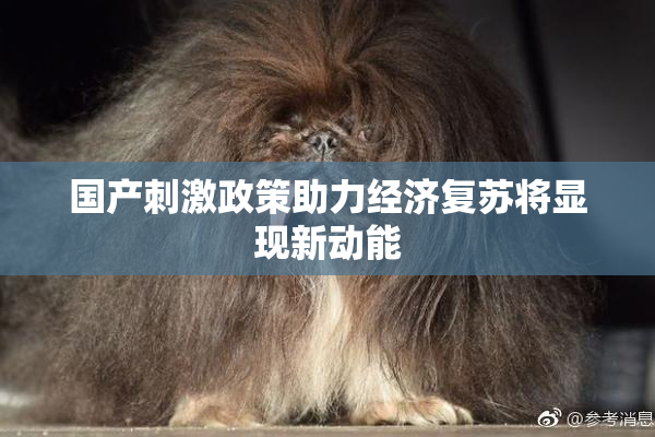国产刺激政策助力经济复苏将显现新动能