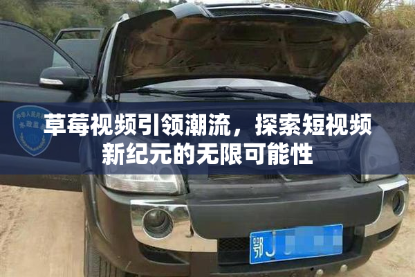 草莓视频引领潮流，探索短视频新纪元的无限可能性