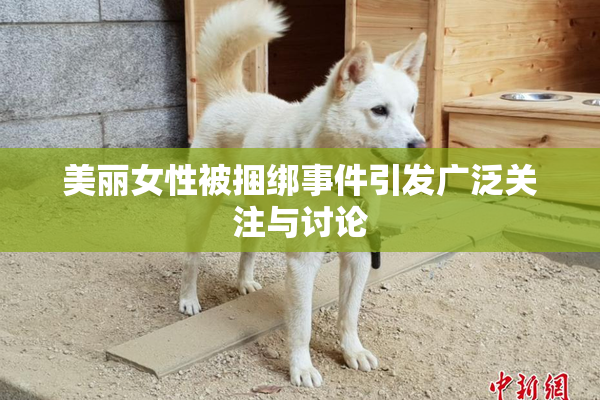 美丽女性被捆绑事件引发广泛关注与讨论
