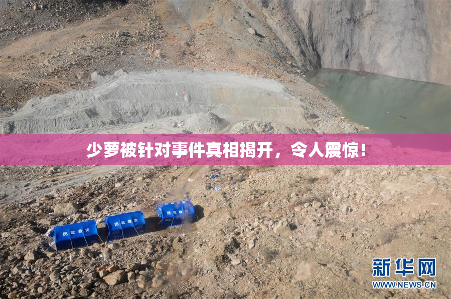 少萝被针对事件真相揭开，令人震惊！