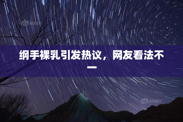 纲手裸乳引发热议，网友看法不一