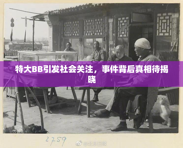 特大BB引发社会关注，事件背后真相待揭晓