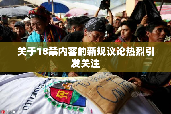 关于18禁内容的新规议论热烈引发关注