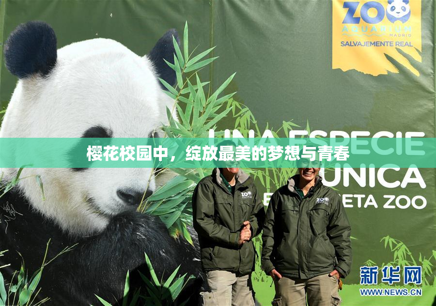 樱花校园中，绽放最美的梦想与青春