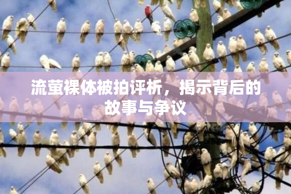 流萤裸体被拍评析，揭示背后的故事与争议