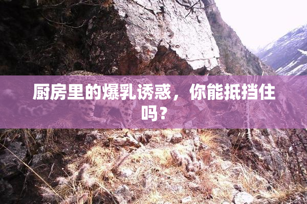 厨房里的爆乳诱惑，你能抵挡住吗？
