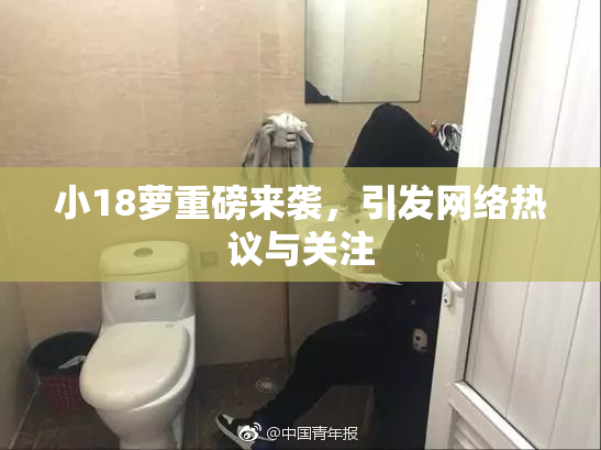 小18萝重磅来袭，引发网络热议与关注