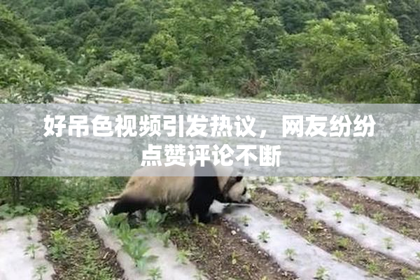 好吊色视频引发热议，网友纷纷点赞评论不断