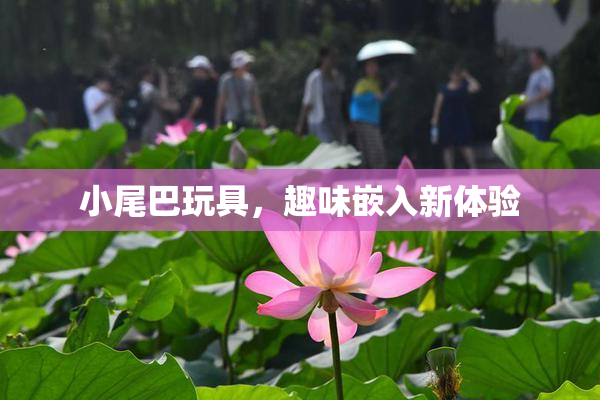 小尾巴玩具，趣味嵌入新体验