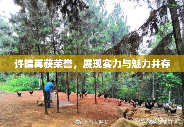 许晴再获荣誉，展现实力与魅力并存