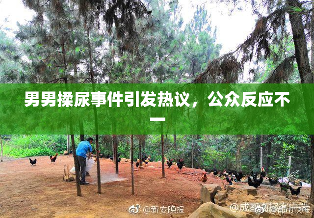男男揉尿事件引发热议，公众反应不一